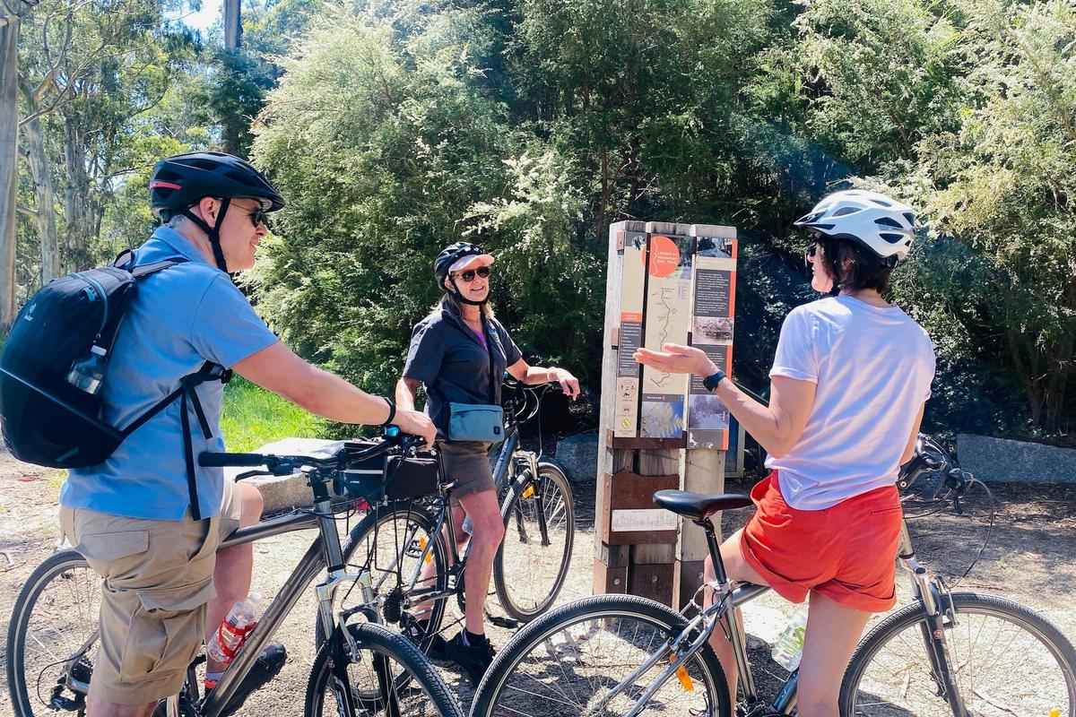 Cycling Warburton Rail Trail