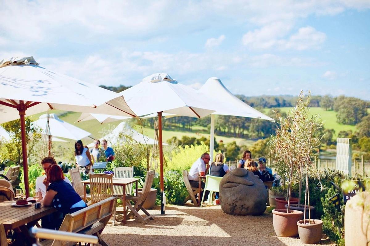 lunch on  the mornington peninsula