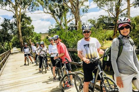 Cycling Vine Tours