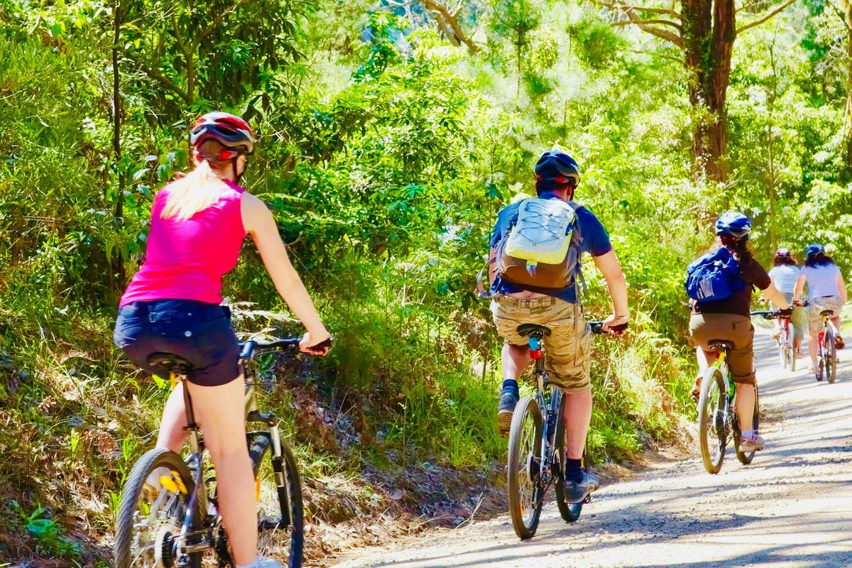 cycling in the mornington peninsula
