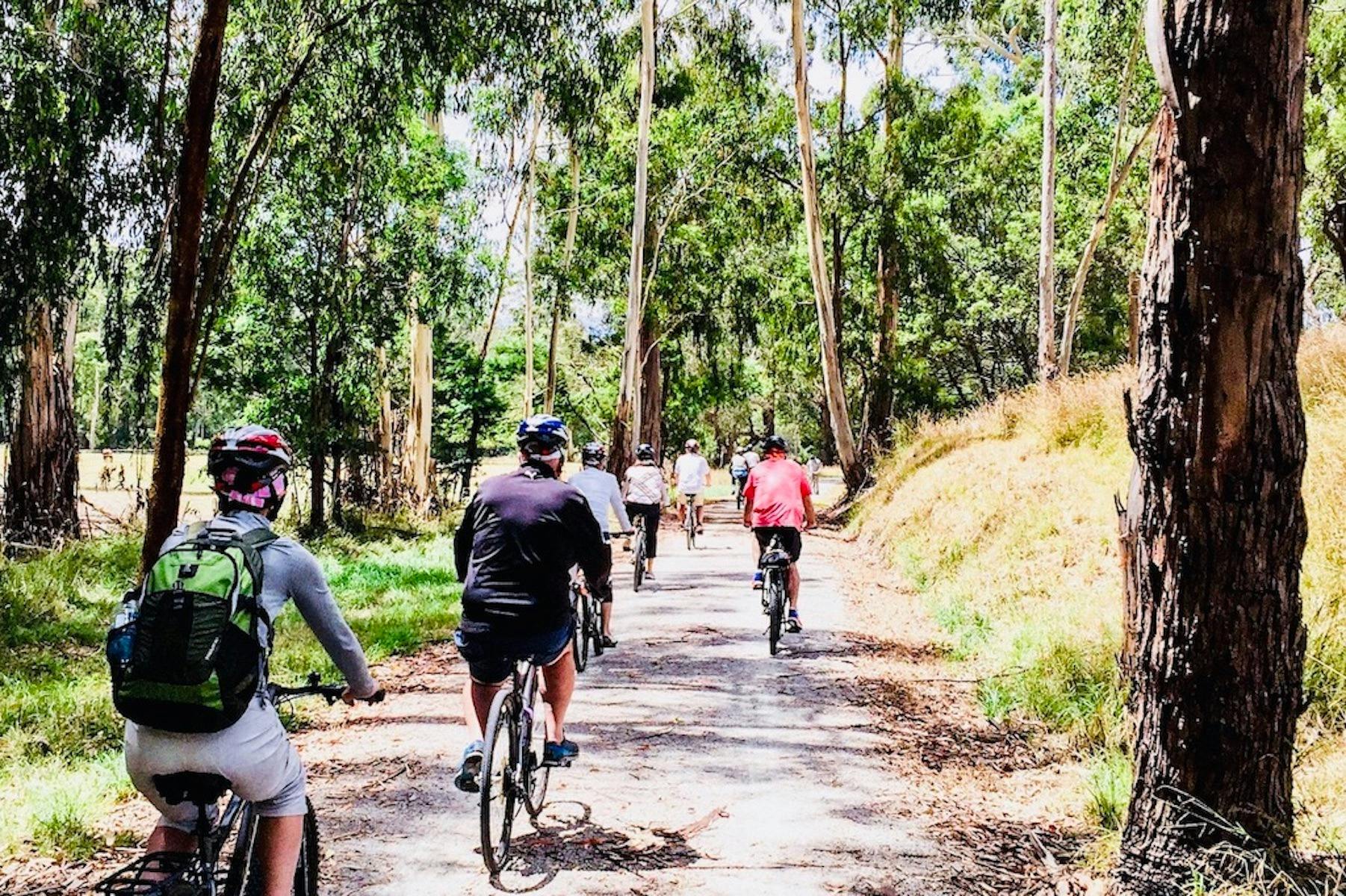 Cycling Vine Tours Yarra Valley Victoria