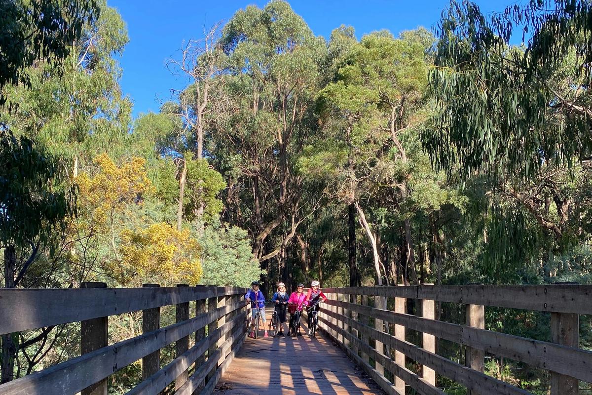 Cycling Vine Tours Yarra Valley Victoria