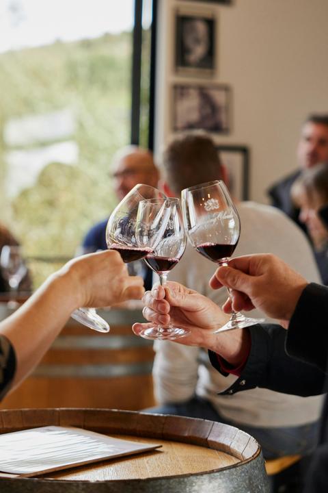 Wine Tour
