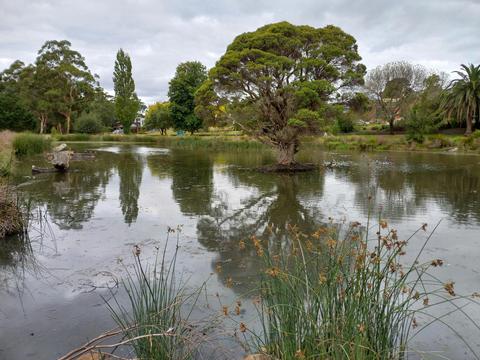 Alex Goudie Park lake