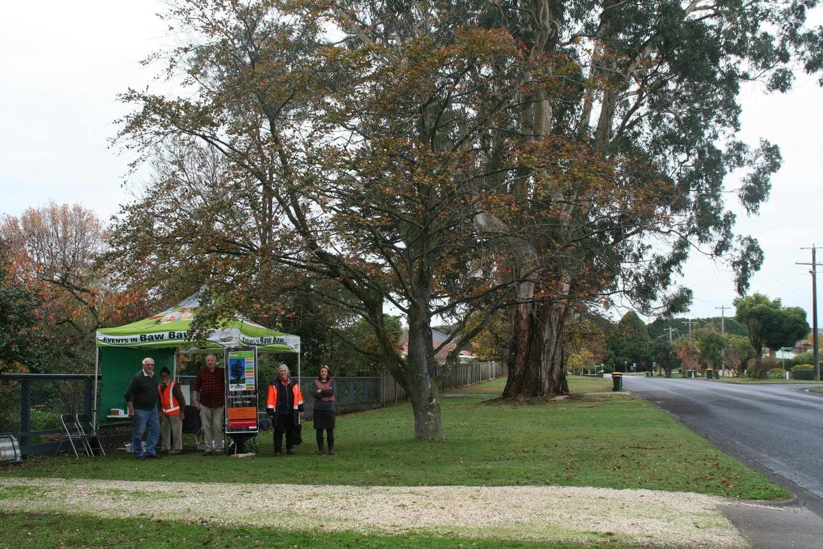 The Bill Kraft Giant  gets its portrait painted 2018