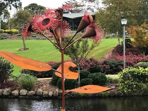 Corymbia Dreaming Sculpture: installed in 2022. Artist Jo Caminiti