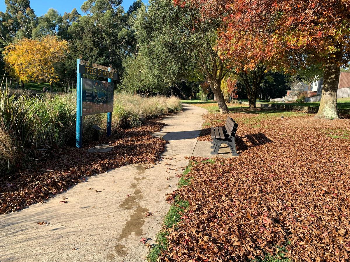 Autumn at Alex Goudie park
