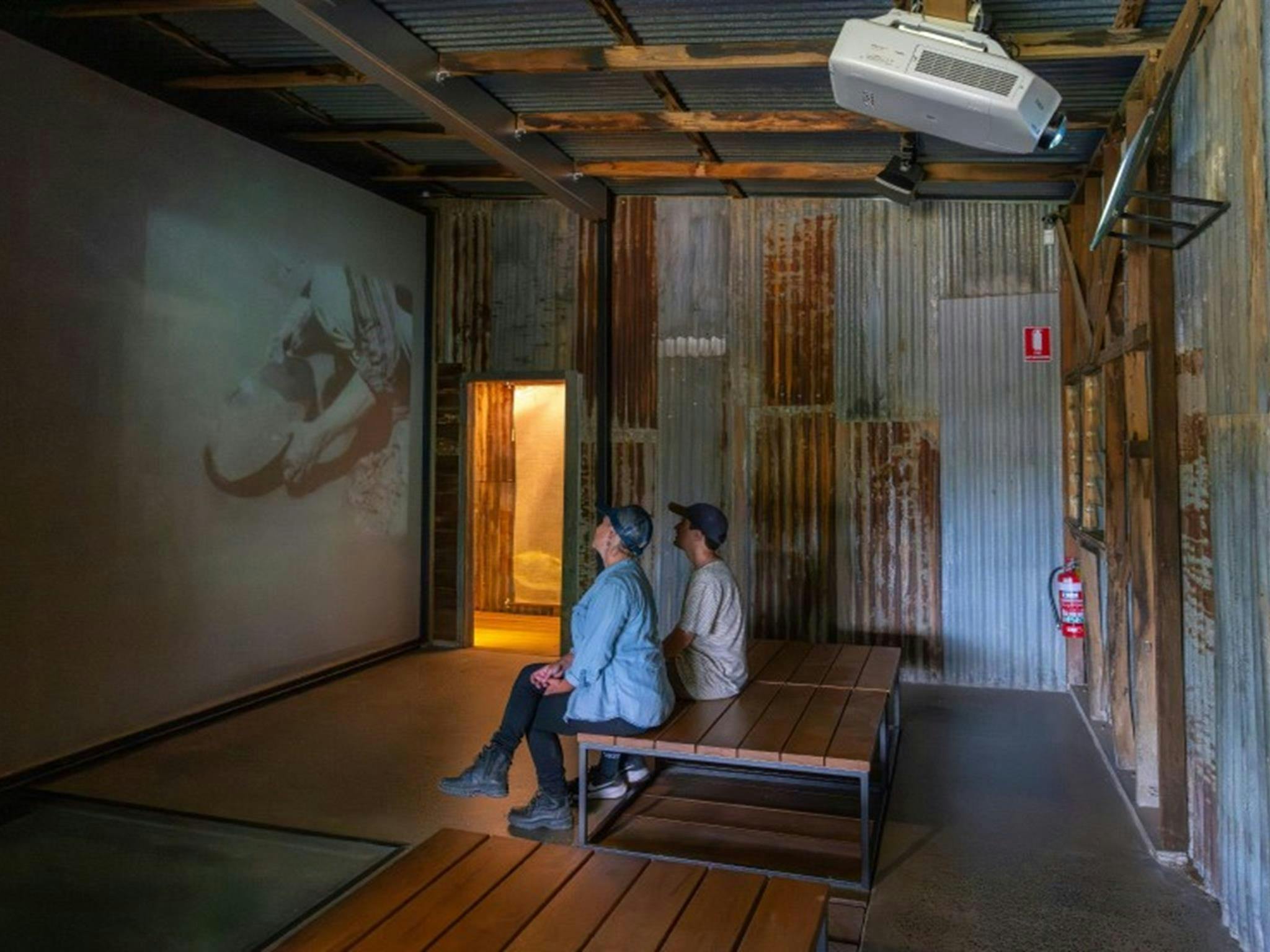 Visitors engage with projections of Hill End Historic Site's  rich gold rush past. Photo: John