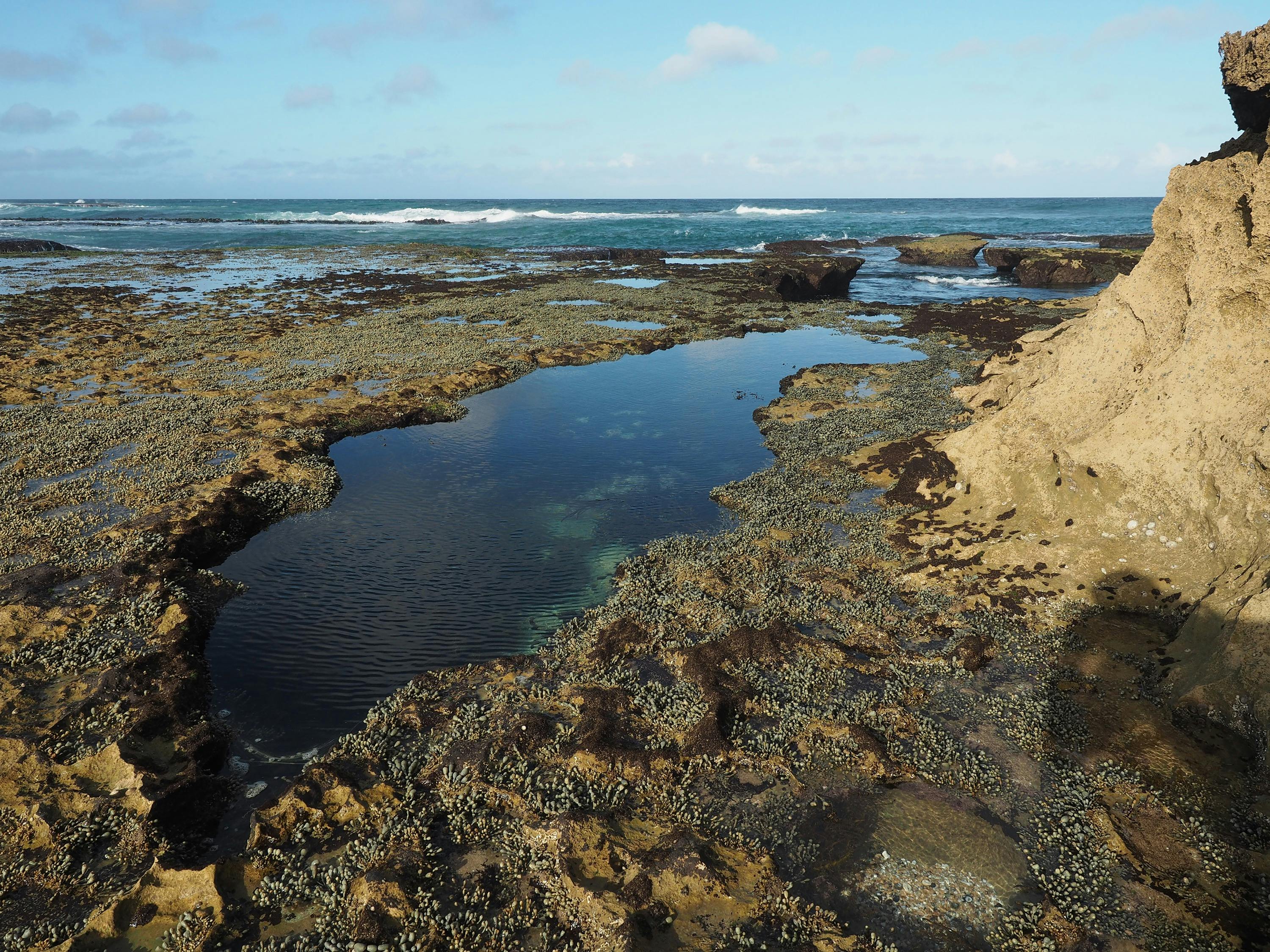 Rock pool at Dimmicks Beach