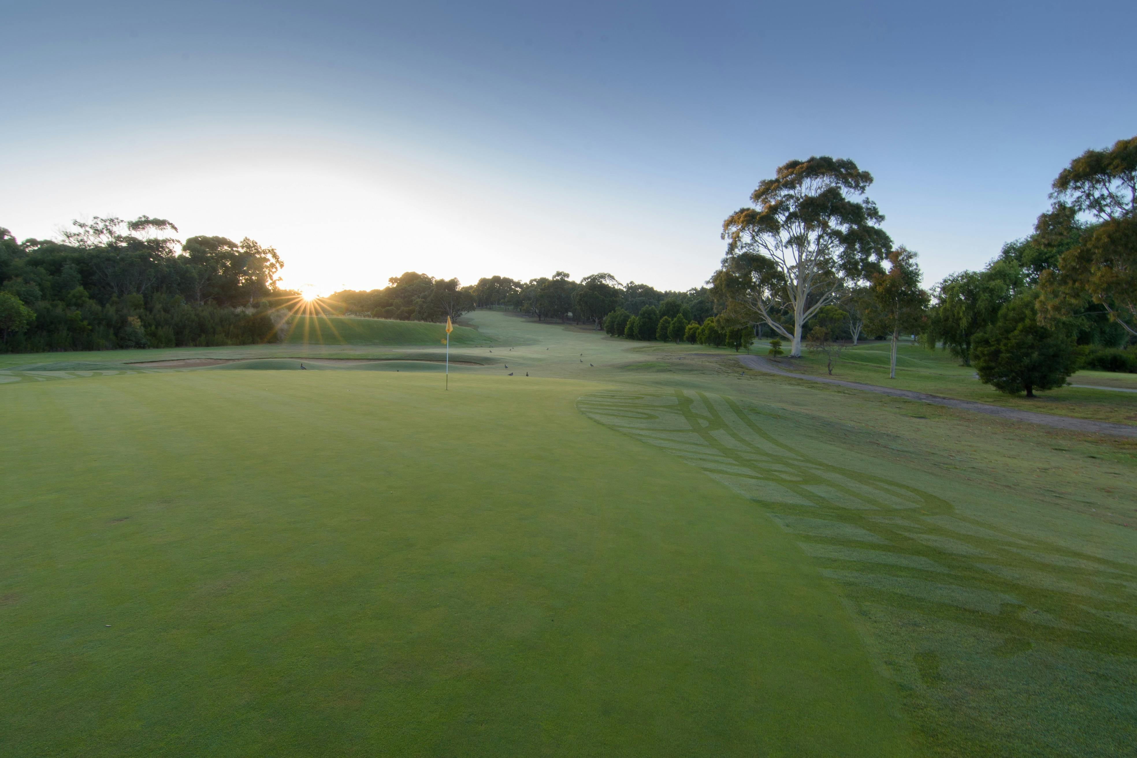 Devilbend Golf Club morning