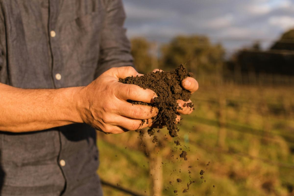 Dirty Three Wines Dirt