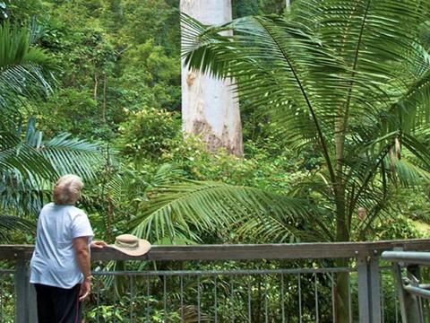 Grandis picnic area