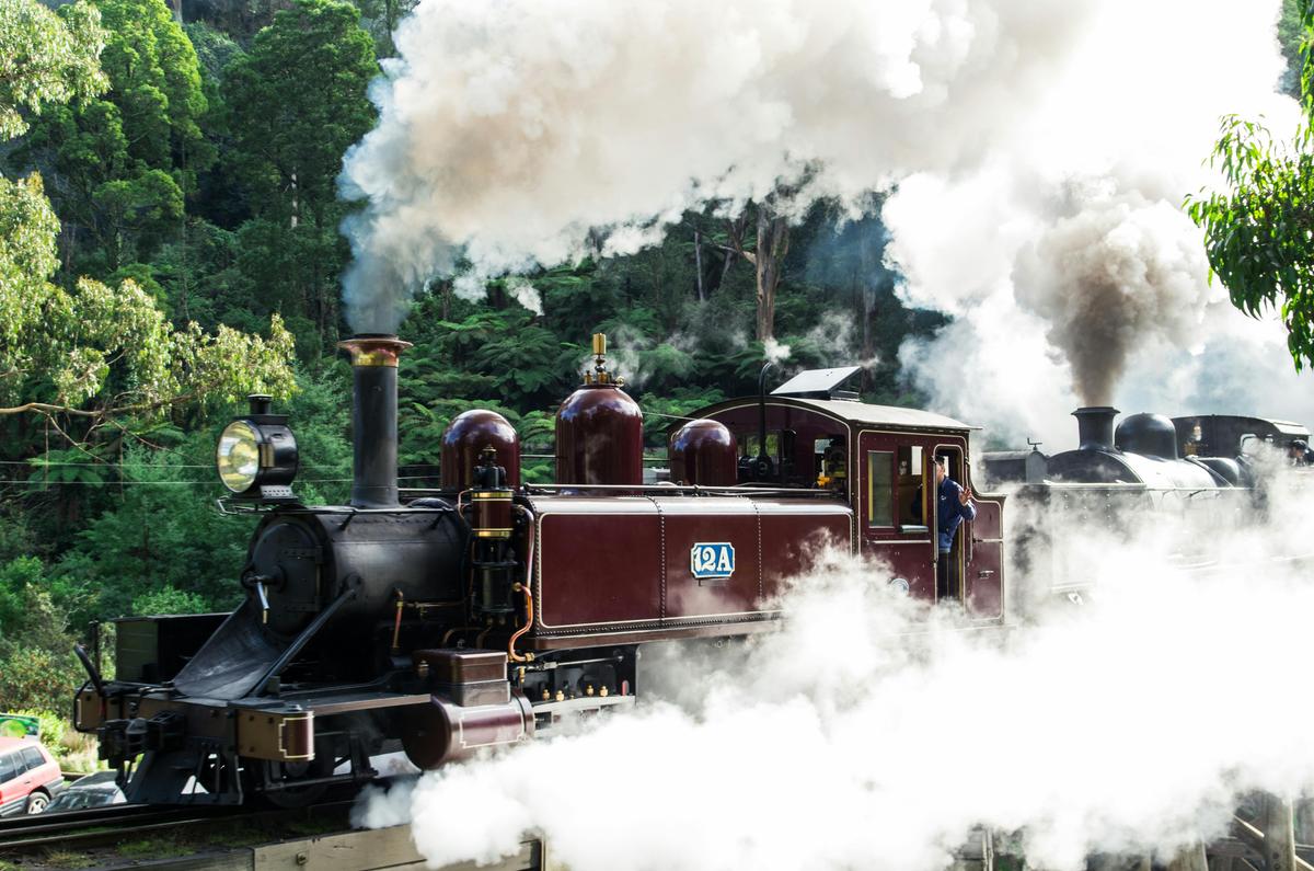 Private Puffing Billy Tour