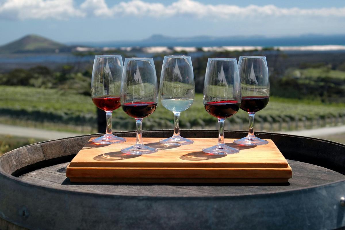 Experience Yarra Valley: A Tailored private Wine Journey