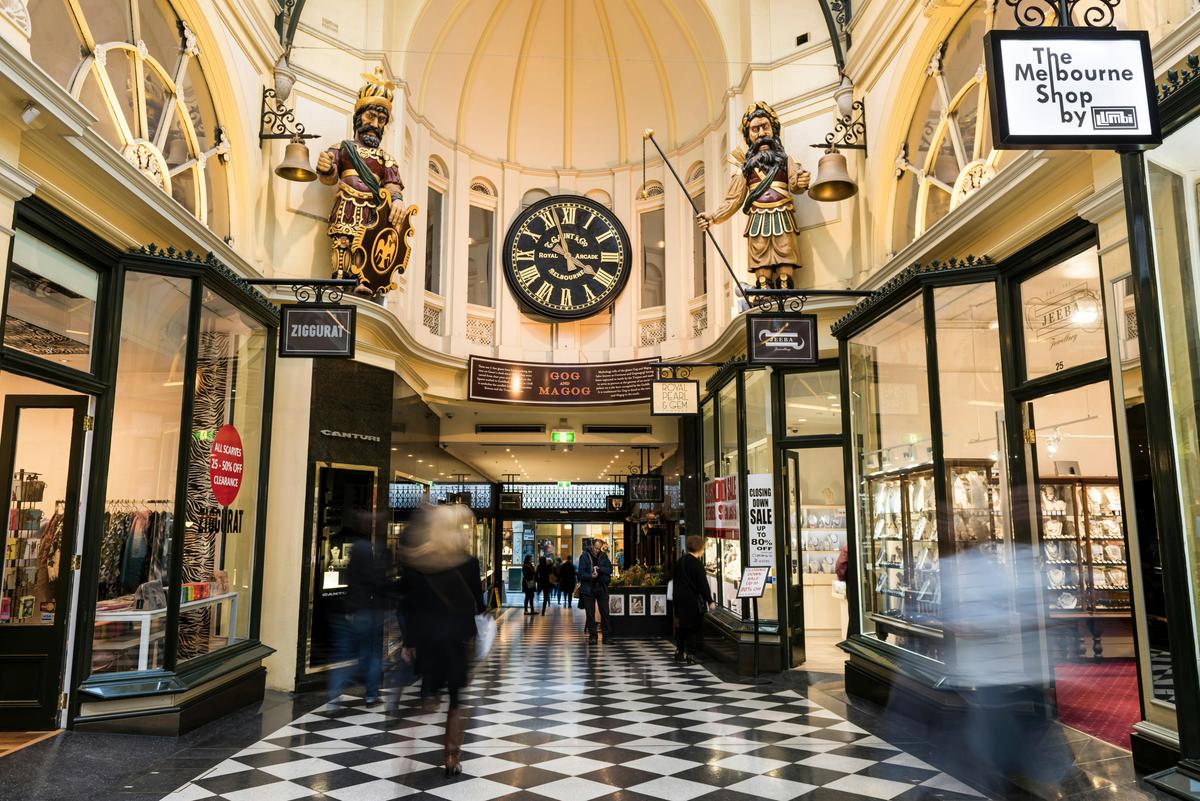 Half-Day Private Guided Introduction Tour in Melbourne