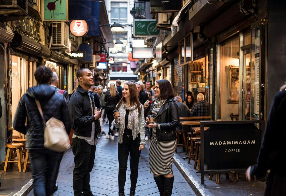 Half-Day Private Guided Introduction Tour in Melbourne