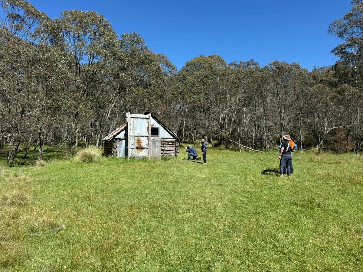 Dingo Trax Tag Along Tours at Moroka Hut Victorian High Country