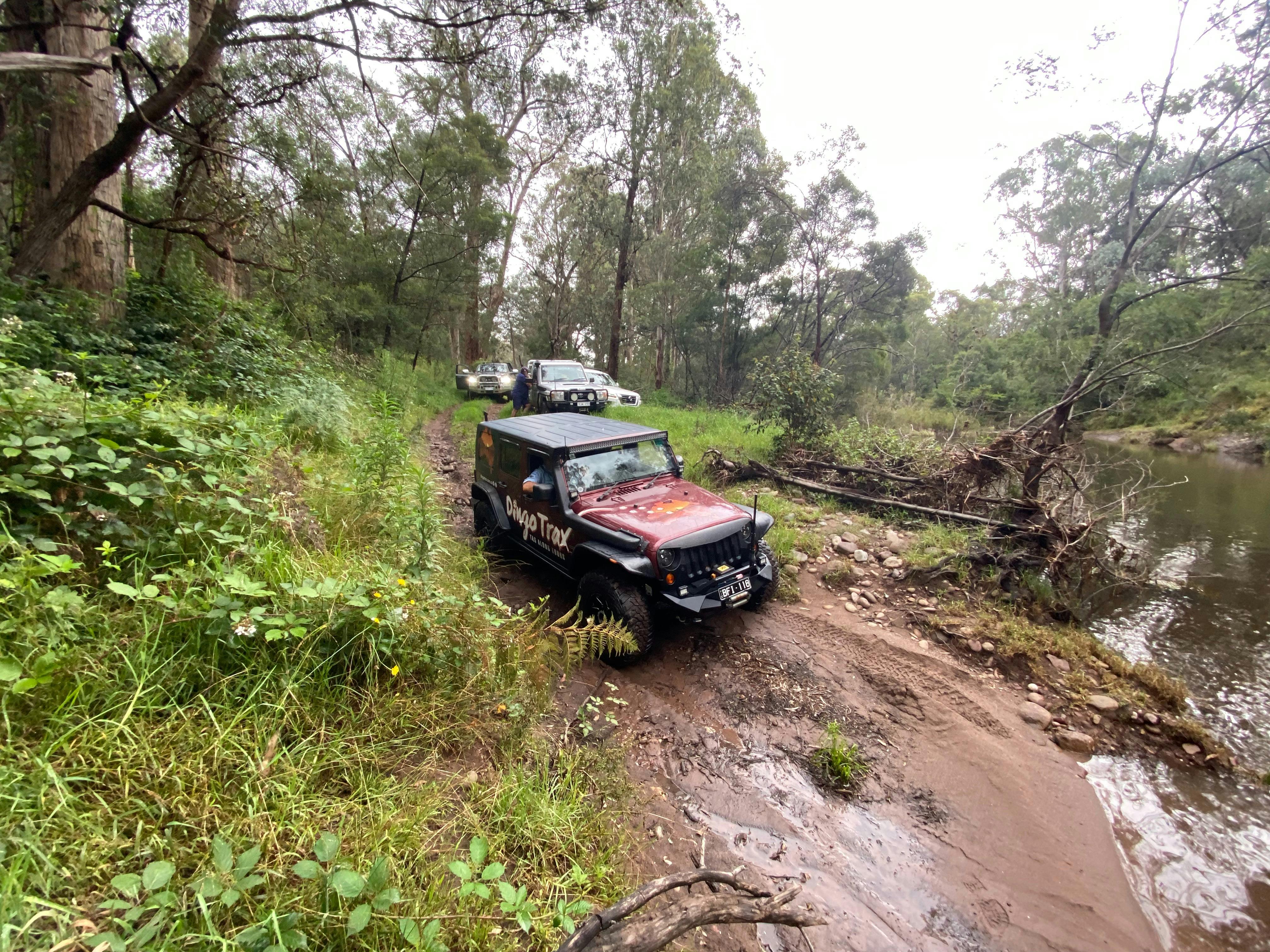 Dingo Trax in Valencia Creek