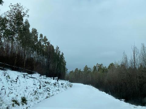 Dingo Trax in Brookville, VIC