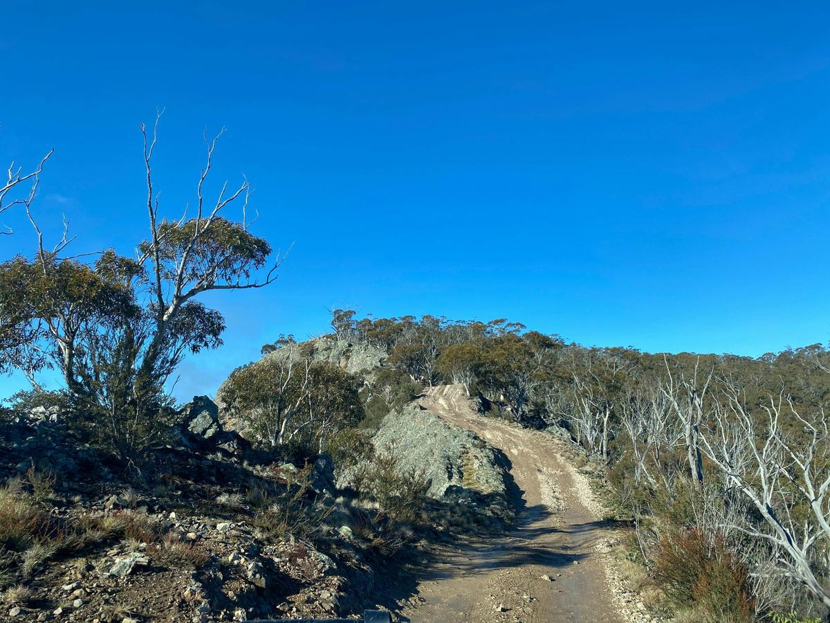 Dingo Trax  at Billy Goat's Bluff, VIC