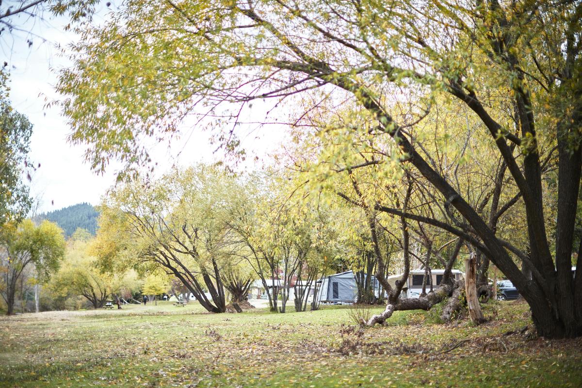 Discovery Parks - Mount Buffalo