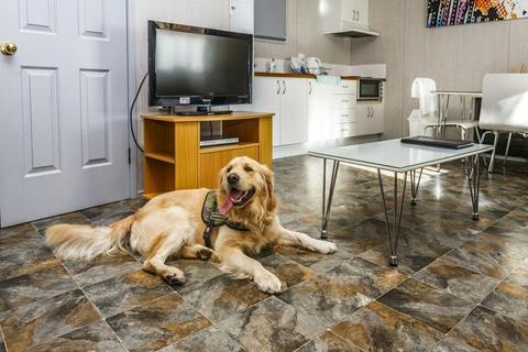 Standard Two Bedroom Cabin - Sleeps Five - Pet Friendly