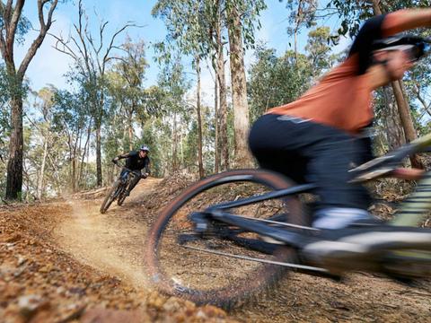 Djuwang Baring (Creswick Trails)
