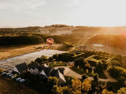 Dairy Flat Lodge and Farm