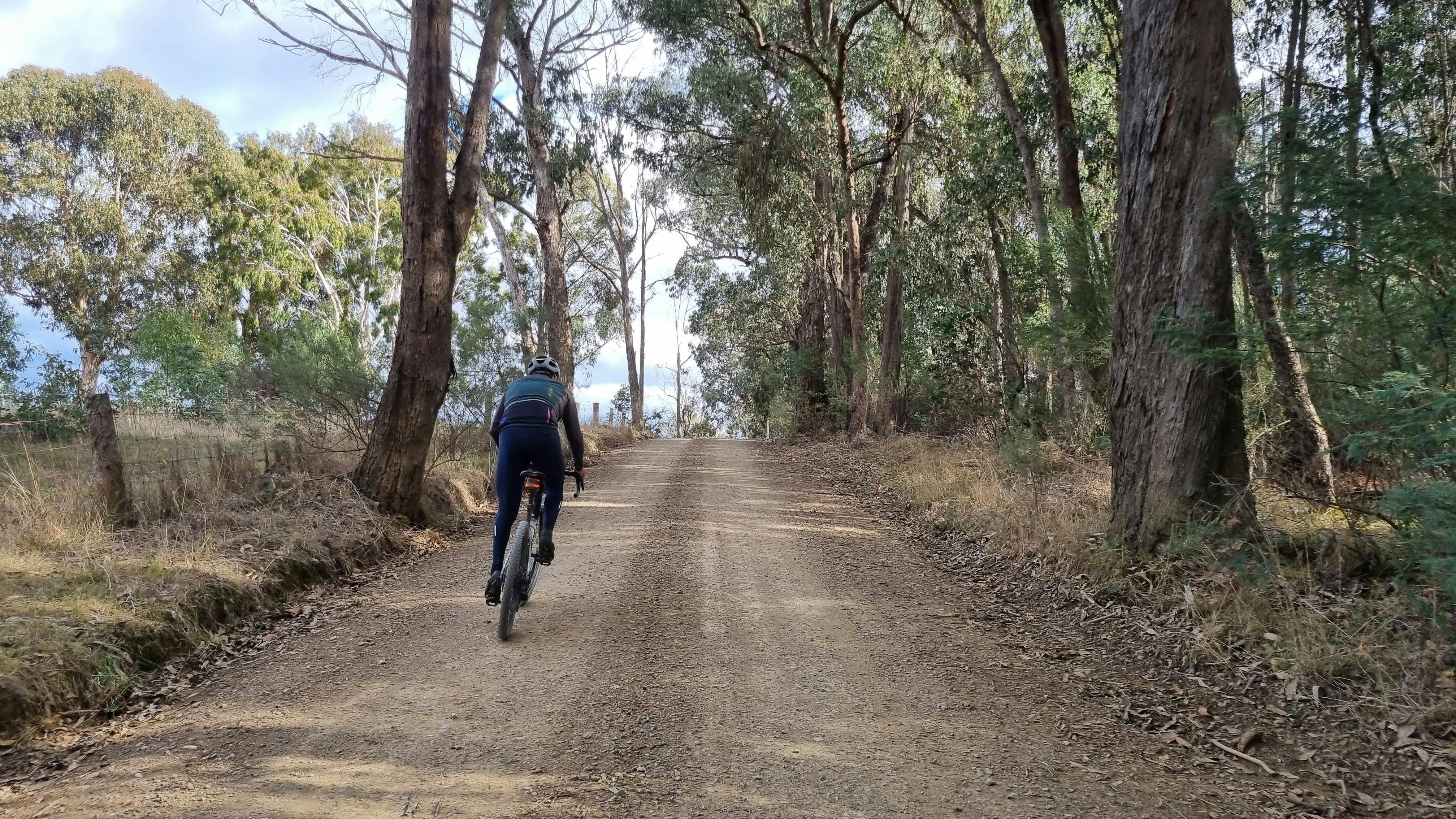Single rider cycling up gradient on gravel road between gumtrees and paddocks with sunny sky.