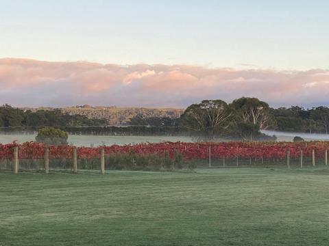 Corner Inlet Vineyard