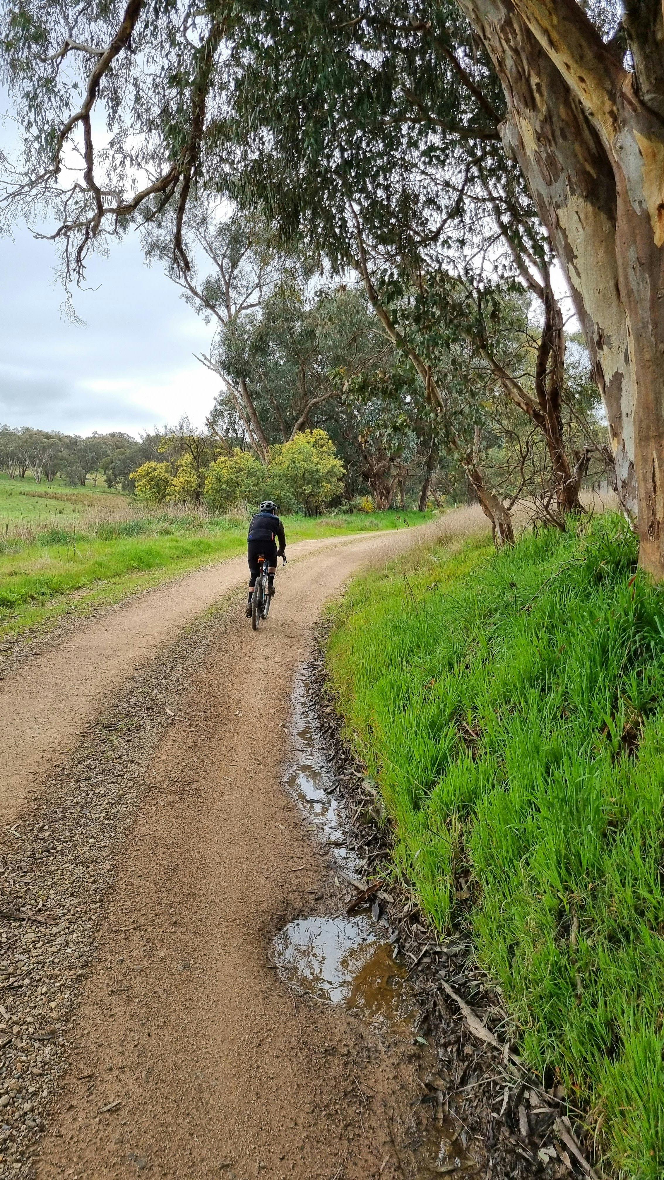 Cyclist on gravel road