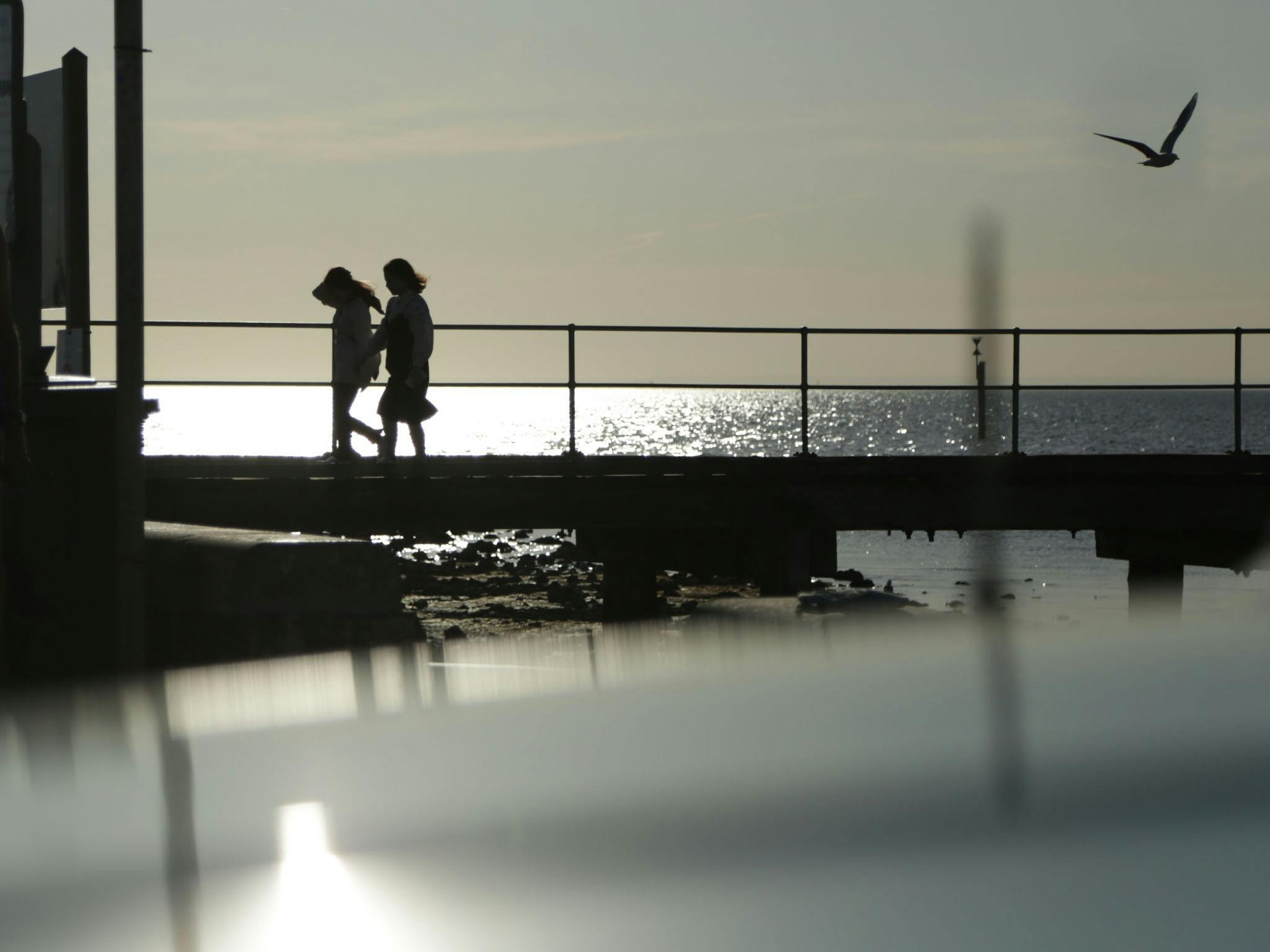 HMVS Cerberus sunset
