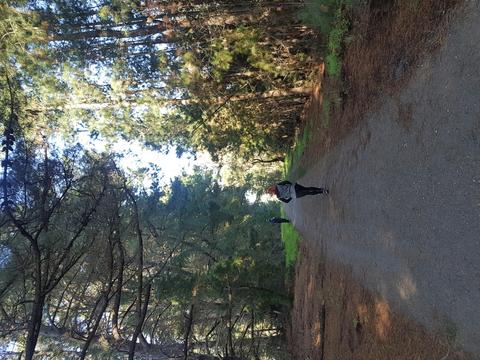 Devilbend Natural Features Reserve