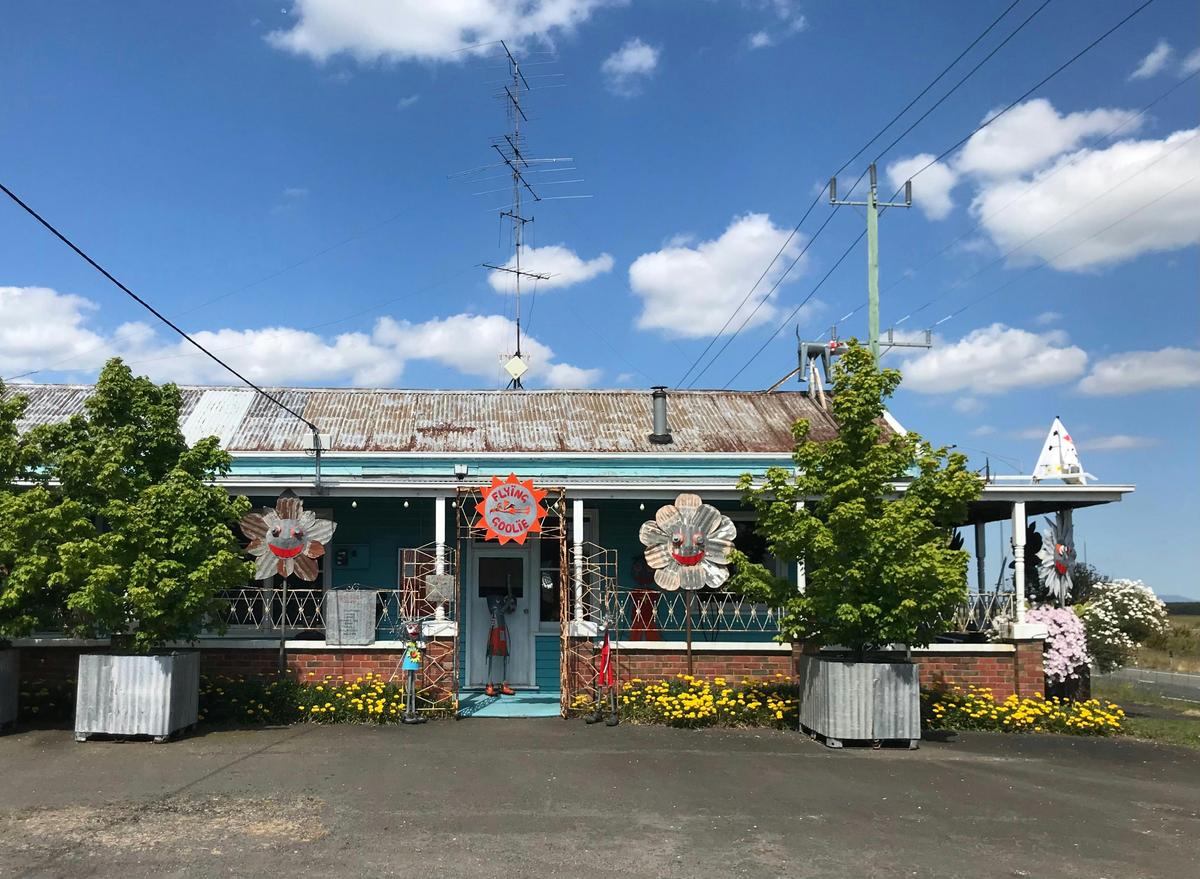 Flying Goolie Gallery