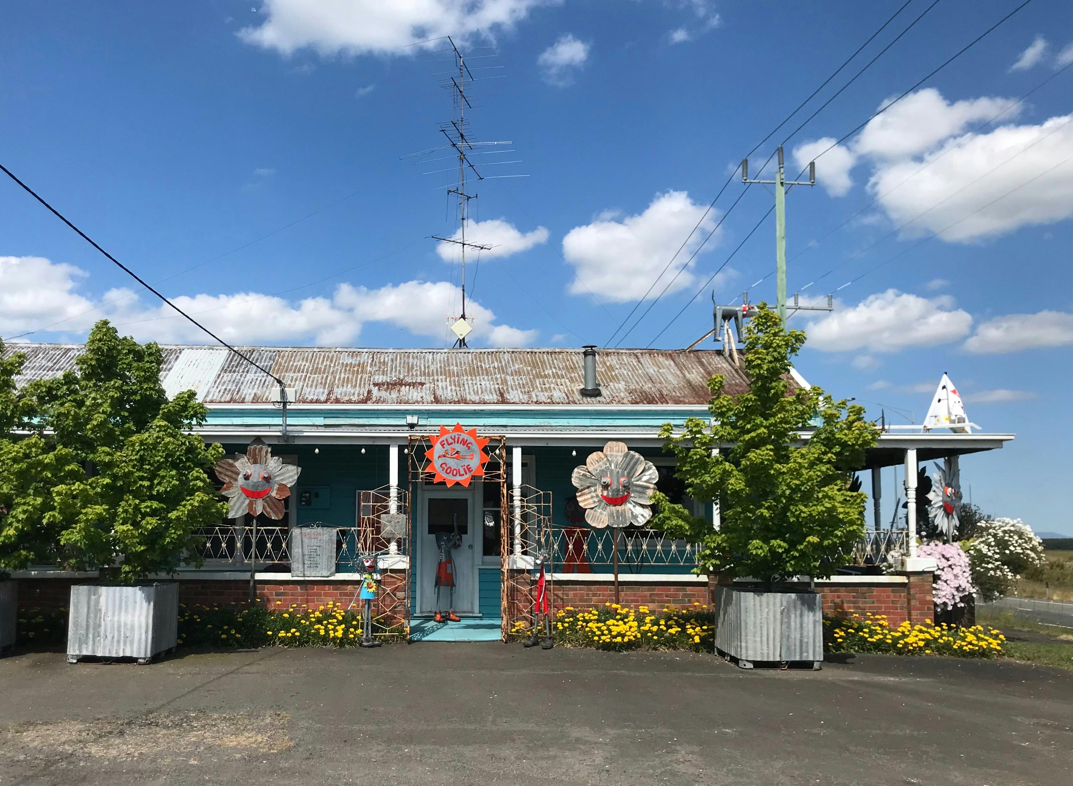 Flying Goolie Gallery