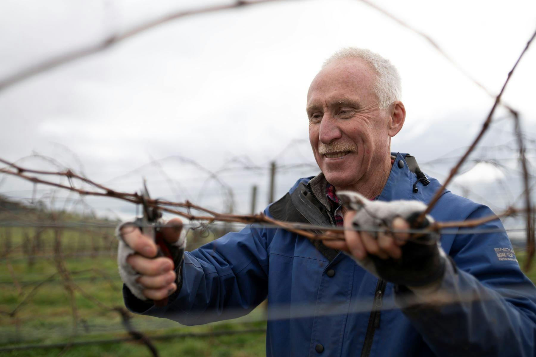 Mark Walpole, pruning on Fighting Gully Road Vineyard