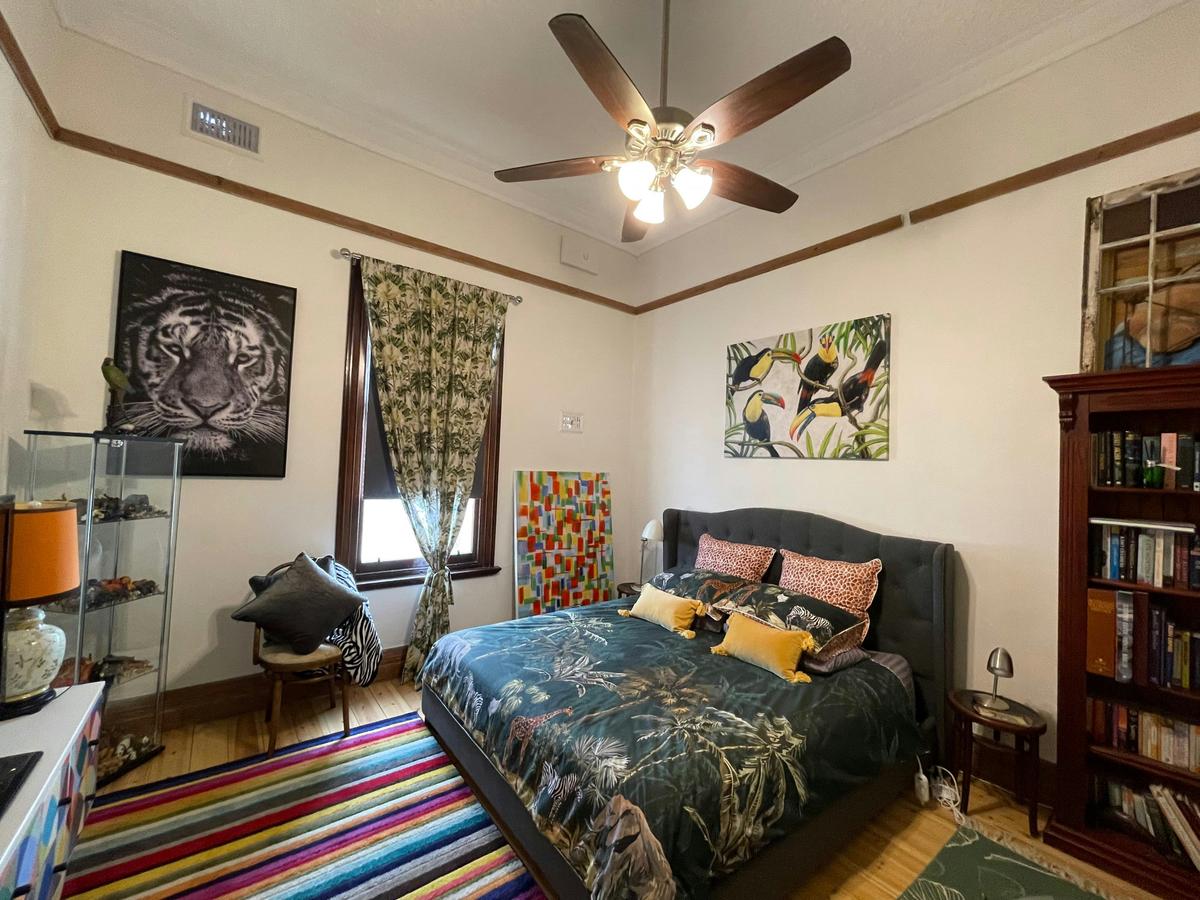 Safari room with King bed.