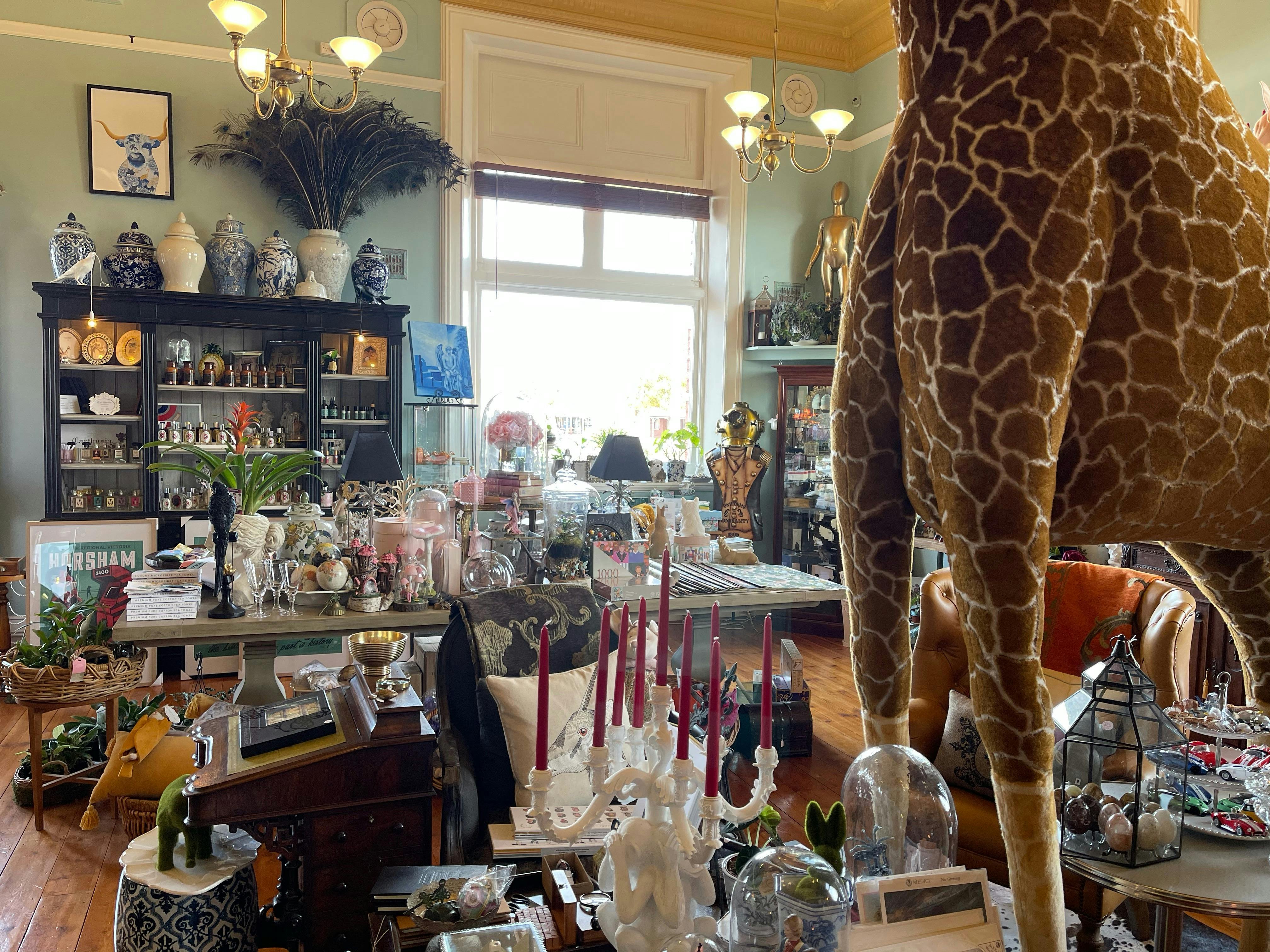 There's a giraffe in the room.