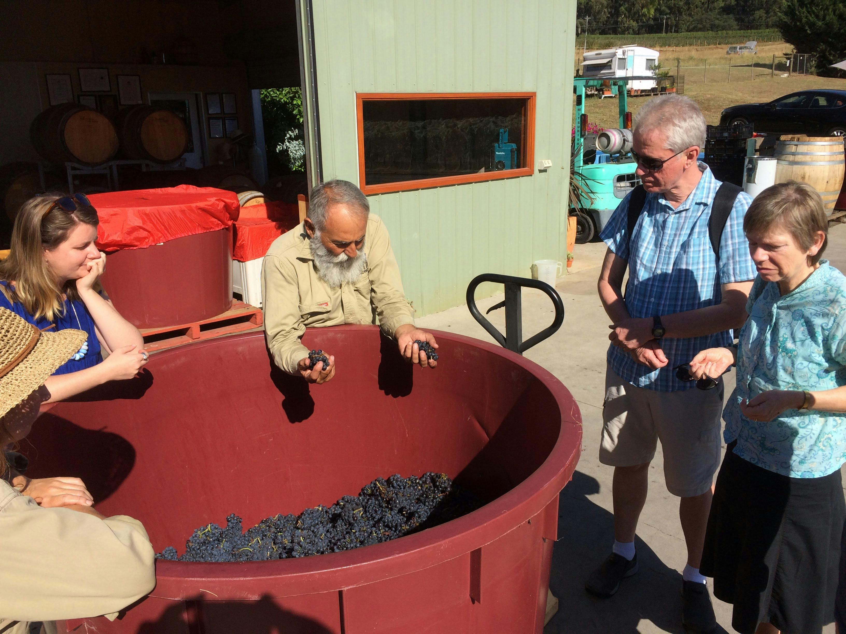 Learn firsthand about the process from grape to glass