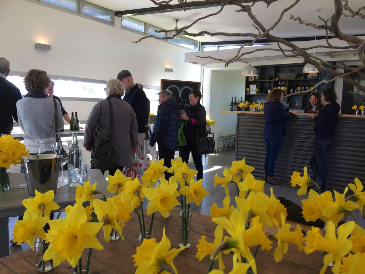 Spring flowers at cellar door