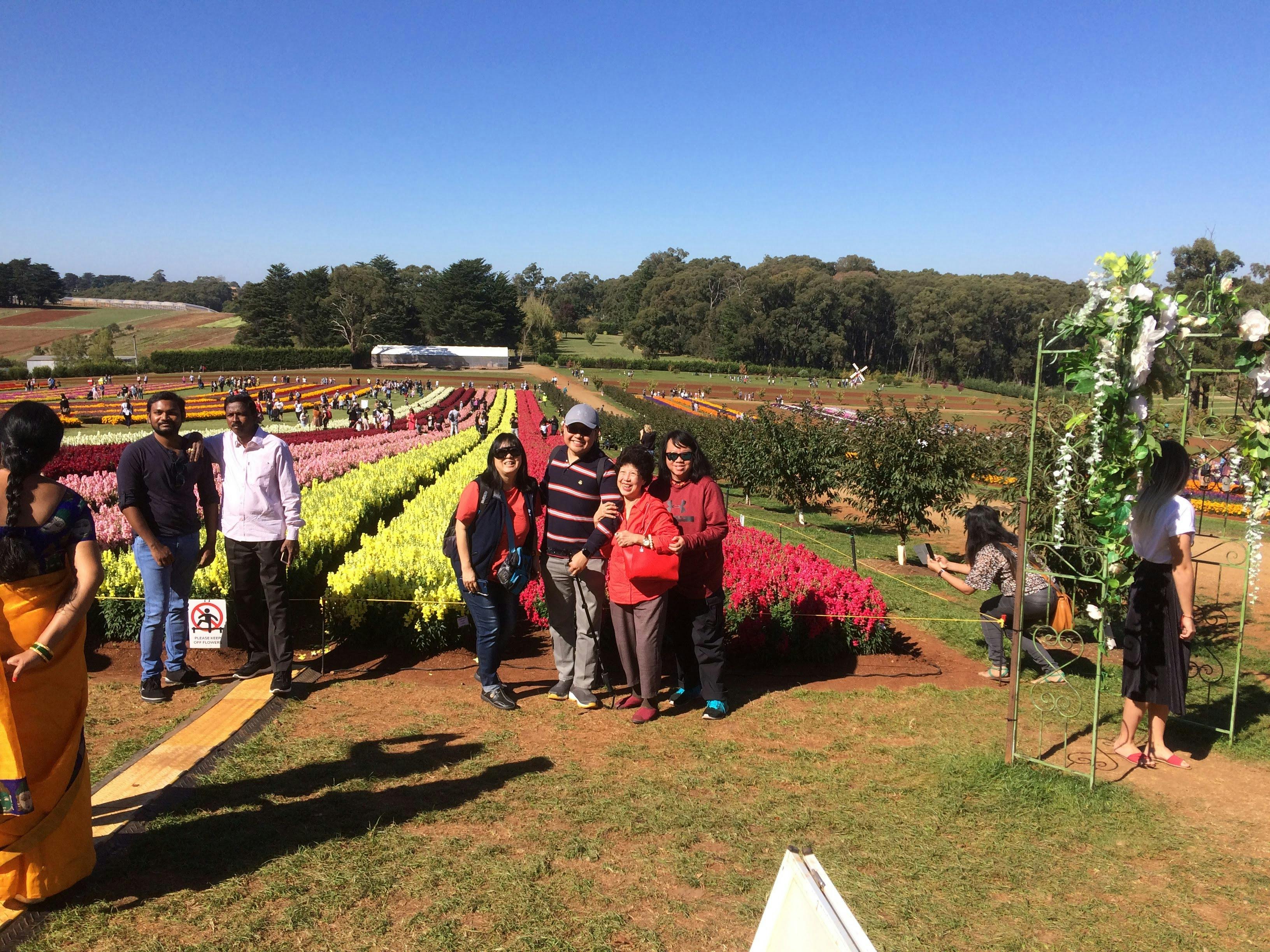 Scenic visit to popular flower farm