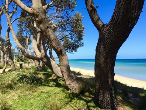 Coast at Safety Beach