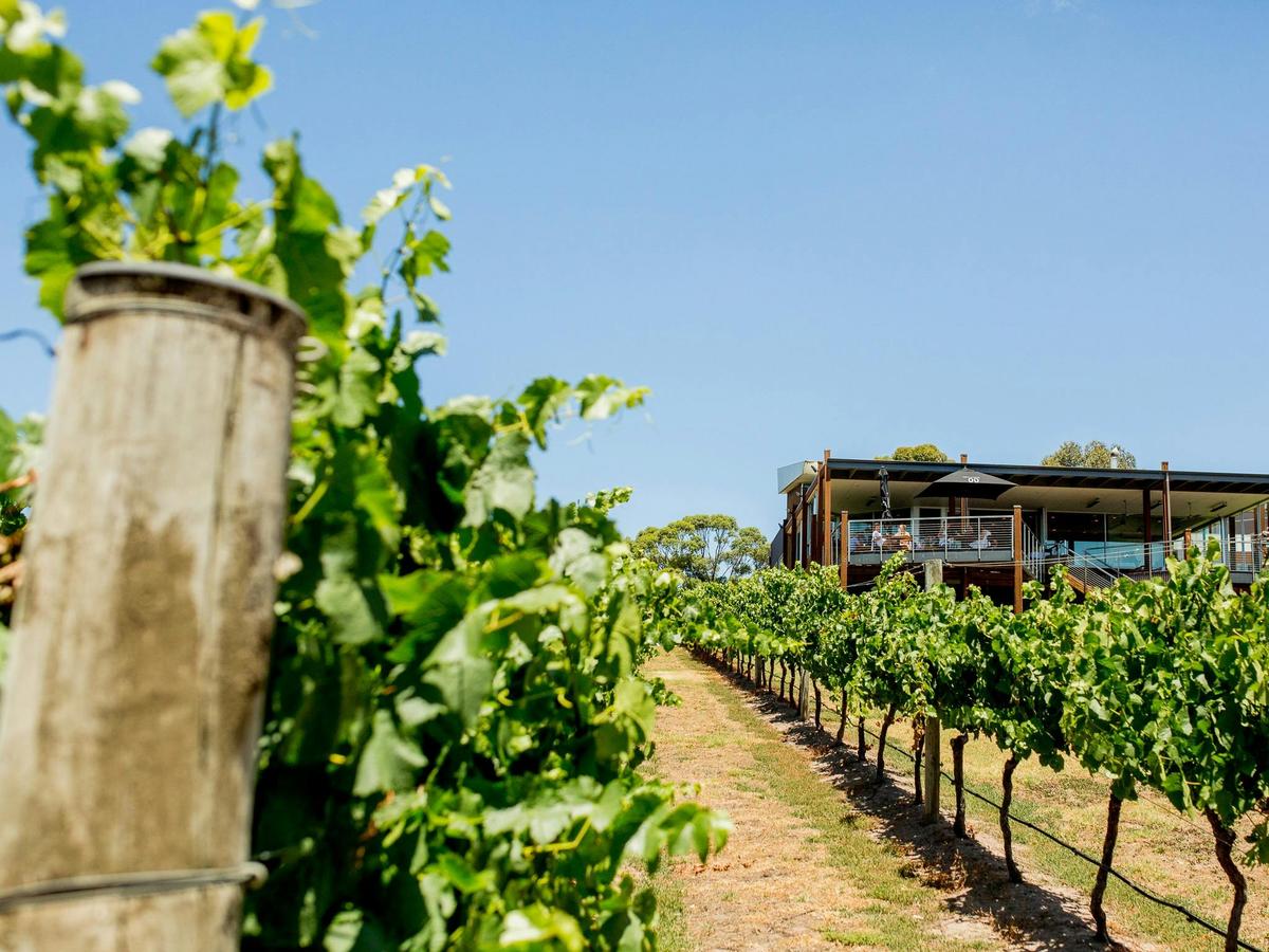 Bellarine Helicopter Winery Lunch