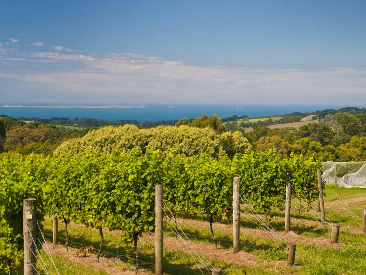 Helicopter Lunch tour Max's Restaurant