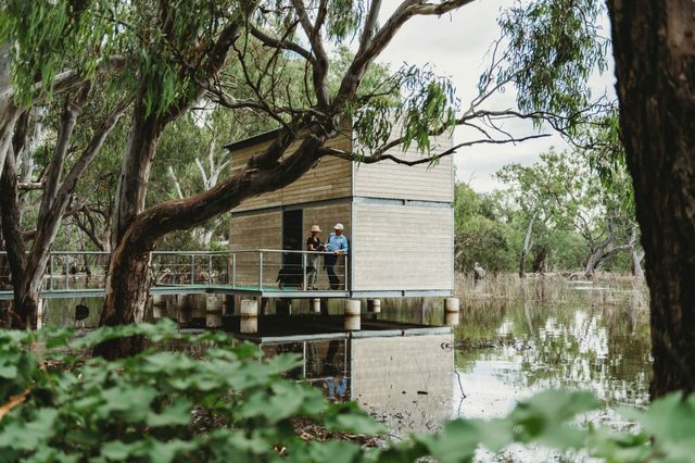 Gum Swamp Wildlife Refuge