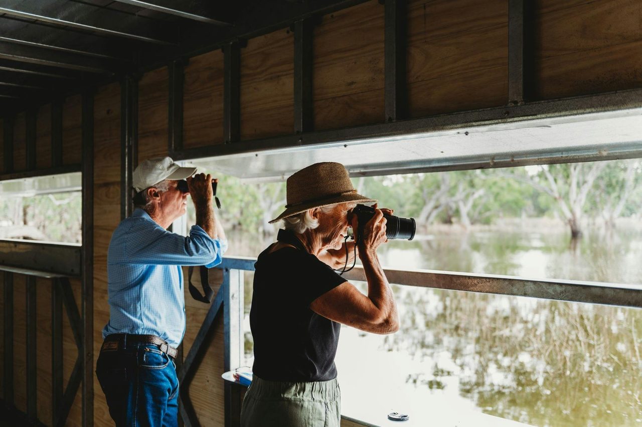 Bird watching at Gum Swamp Wildlife Refuge