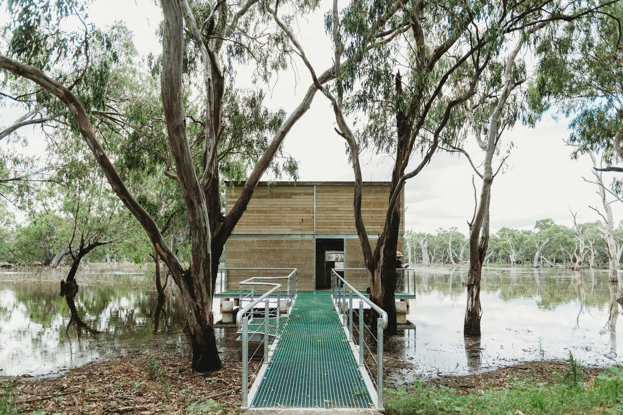 Bird Hide at Gum Swamp Wildlife Refuge
