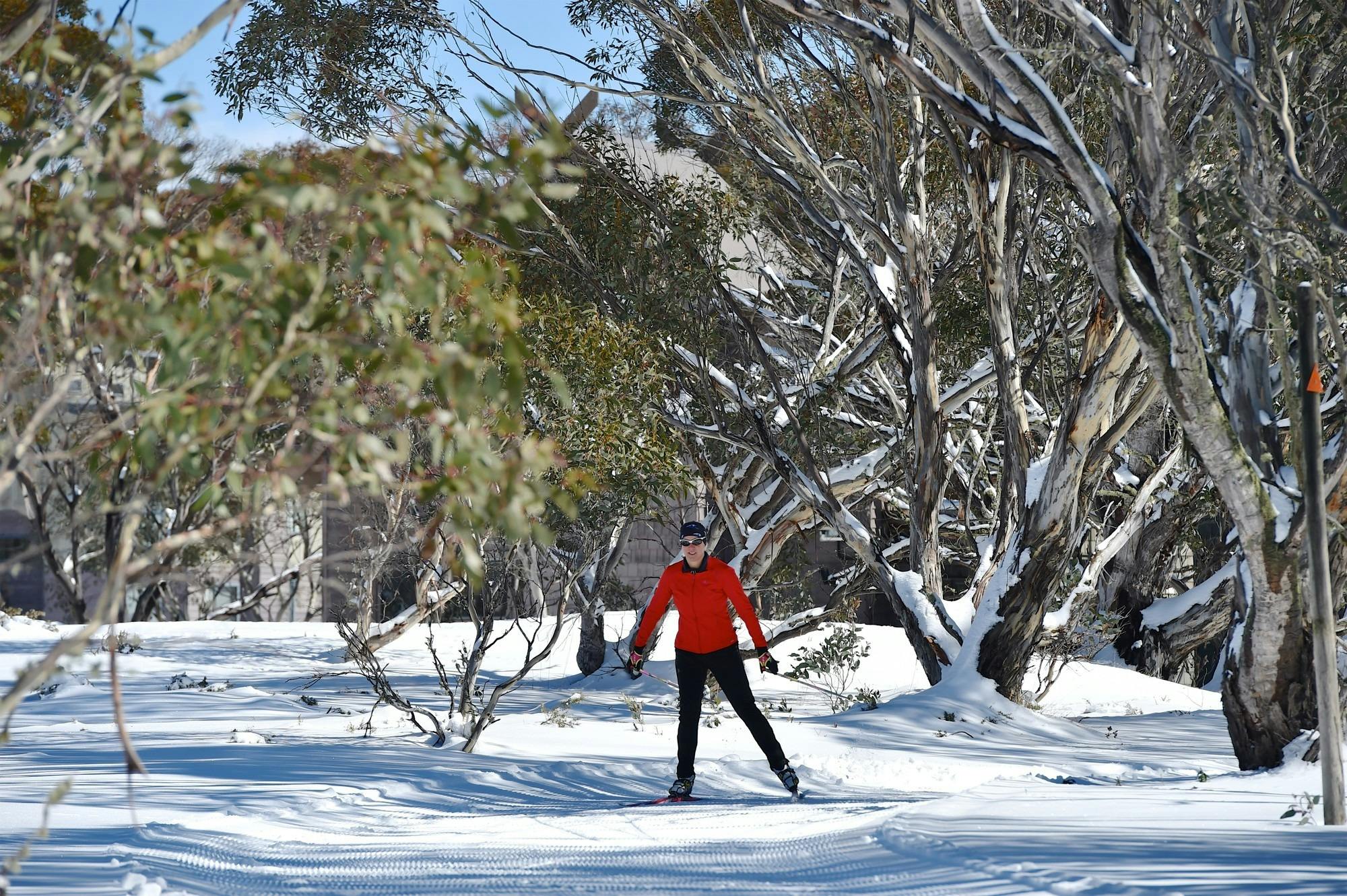 Cross country skiing at Dinner Plain