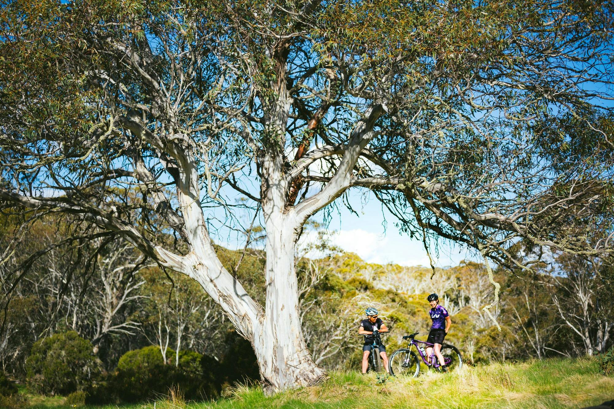 Cyclists at Dinner Plain