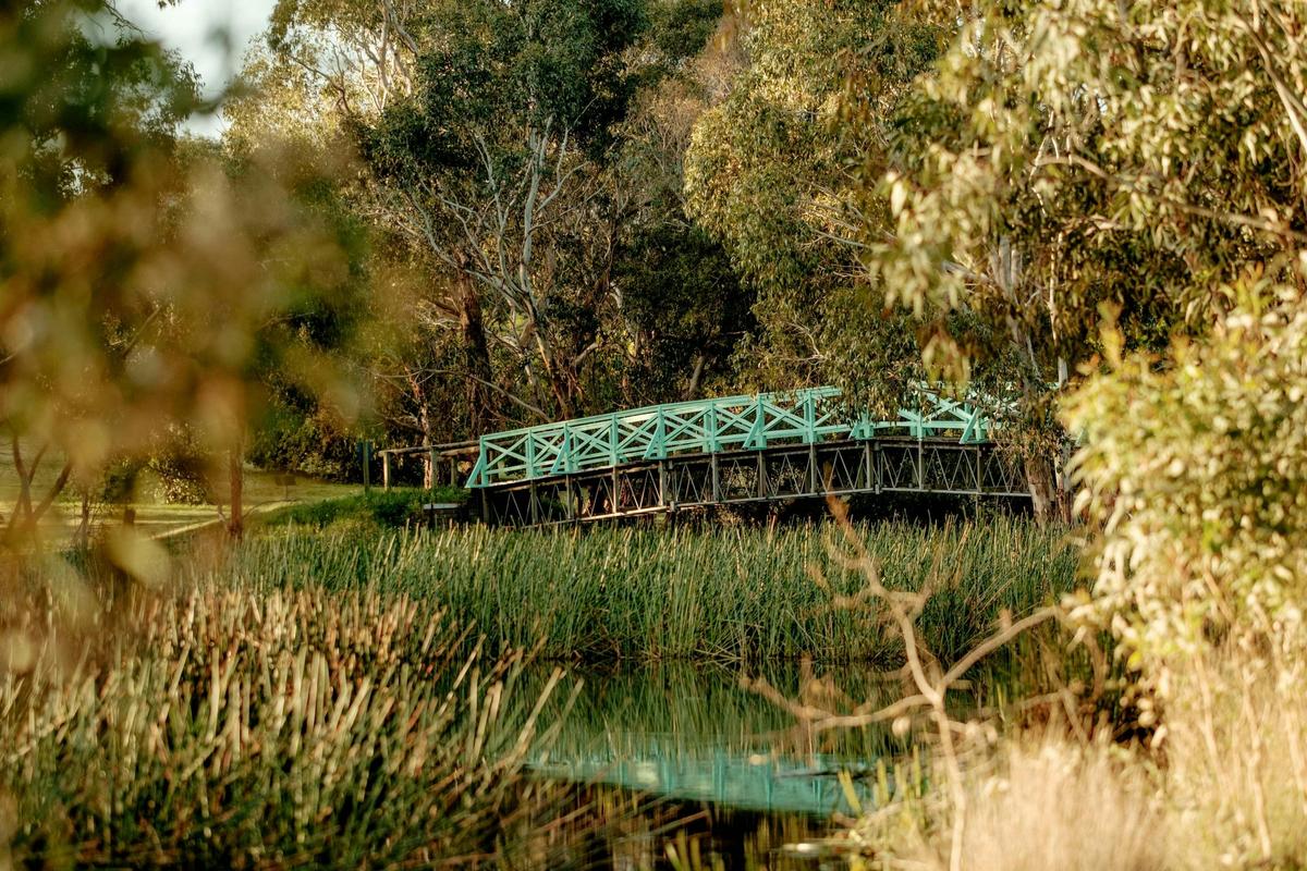 Dunkeld Arboretum